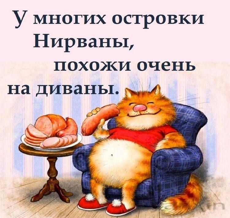 У многих островки Нирваны похожи очень на диваны 1_