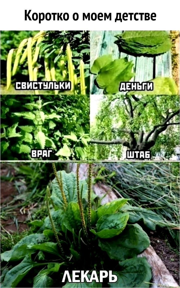 КОРОТКО О МОЕМ дЕТСТВЕ бд