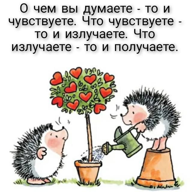О чем вы думаете то и чувствуете Что чувствуете то и излучаете Что излучаете то и получаете