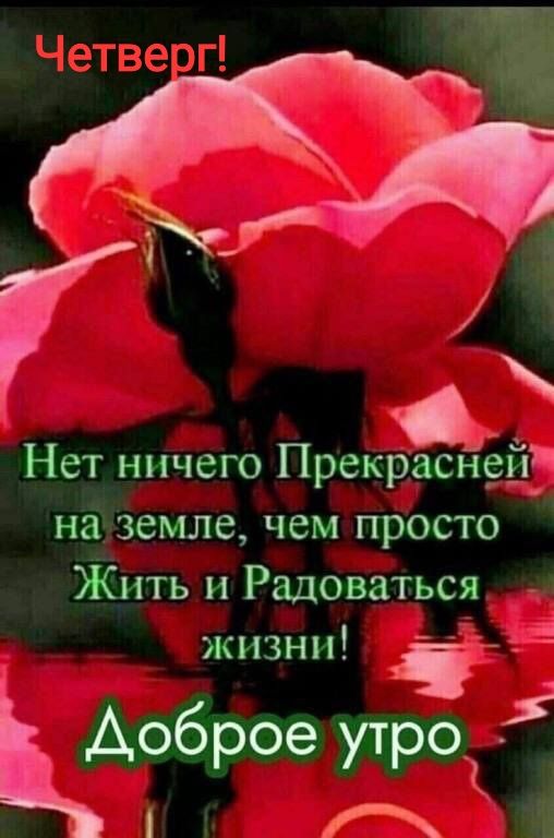 Нет ничего Прекраснеія на земле чем просто Жить и Радоваться жизни КАоброеА утро Ё