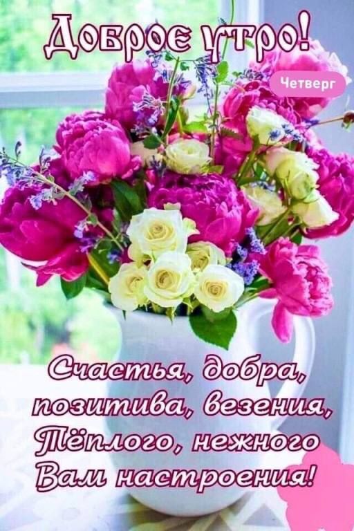 5111830114020 кгснега