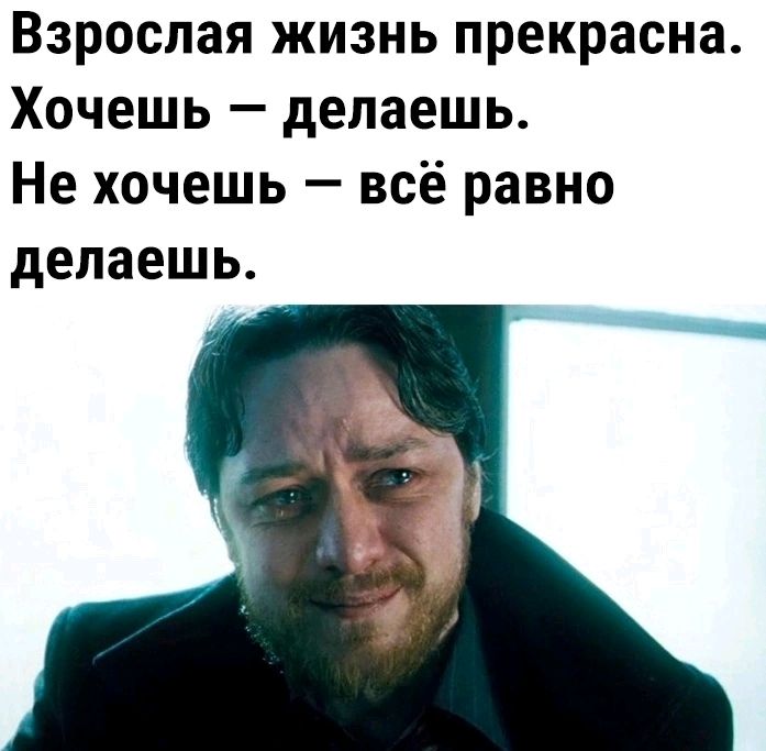 Взрослая жизнь прекрасна Хочешь делаешь Не хочешь всё равно делаешь