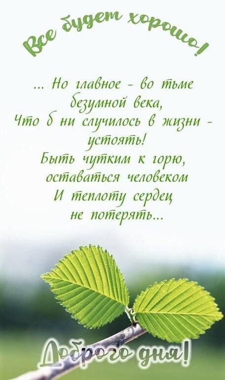 На табног 60 гтаие едуиной баса Чтв 5 ни случилось 6 ливни устоять Быть чутким к жарю онйабтйься челобекот И телтиф сердец не патерять