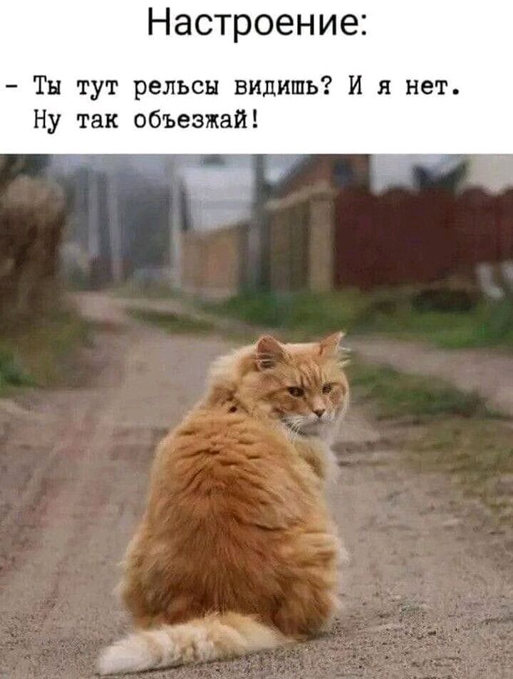 Настроение Тн тут рельсы видишь И я нет Ну так объезжай