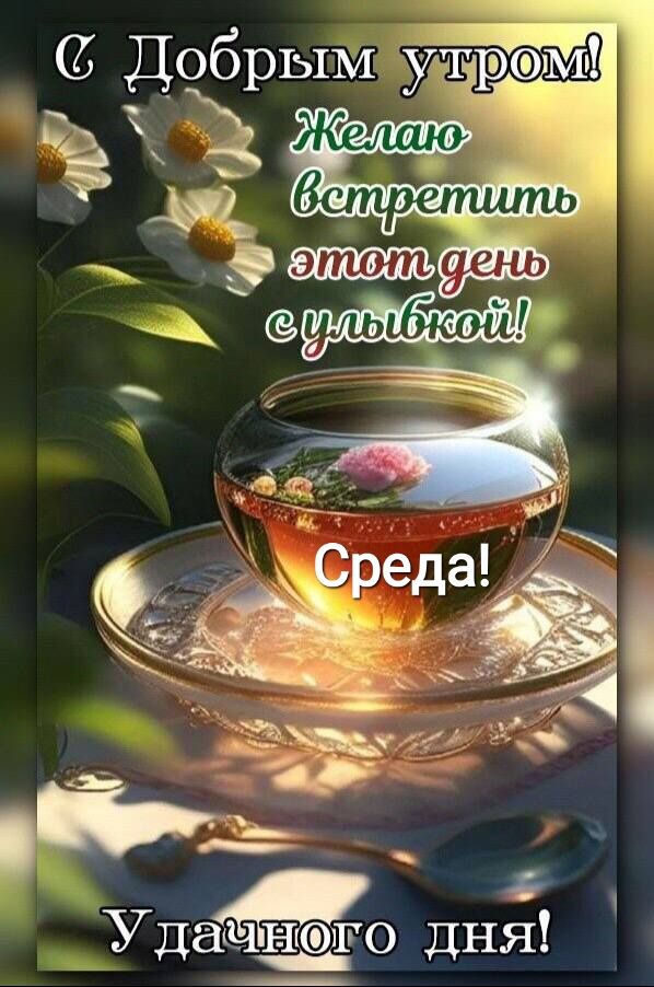 Добрым утром Желшо Удачного дня