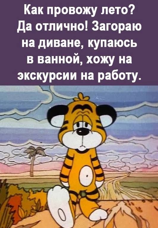 Как провожу лето да отлично Загораю на диване купаюоь в ванной хожу на экскурсии на работу