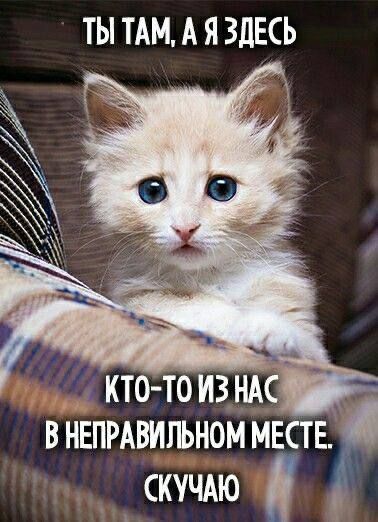 ТЫ ТАМ А Я ЗДЕСЬ внвпрдвильном МЕСТЕ _ скущю