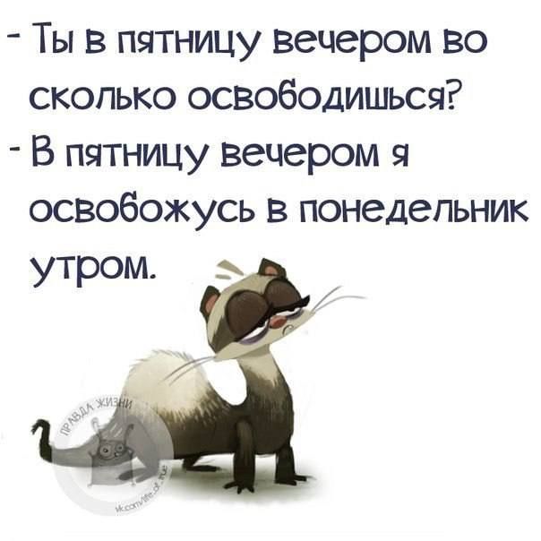 Ты в пятницу вечером во сколько освободишься В пятницу Вечером 9 освобожусь в понедельник утром