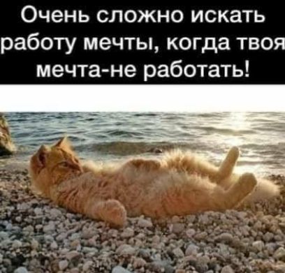 Очень сложно искать работу мечты когда твоя мечта не работать