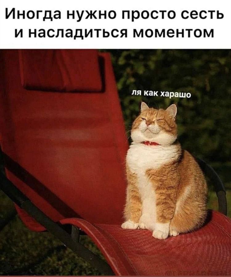 ИНОГДЭ НУЖНО просто СЭСТЬ И НЭСЛЭДИТЬСЯ моментом ли как харвшп