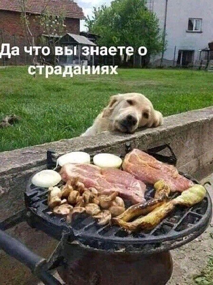 Ч Да что вьхзнаете о _ страданиях