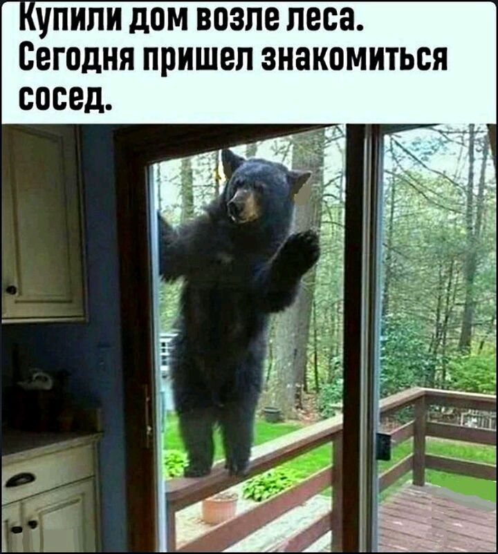 ПИПИ дПМ ВПЗПЕ леса Сегодня пришел ЗНЗКПМИТЬСЯ сосед