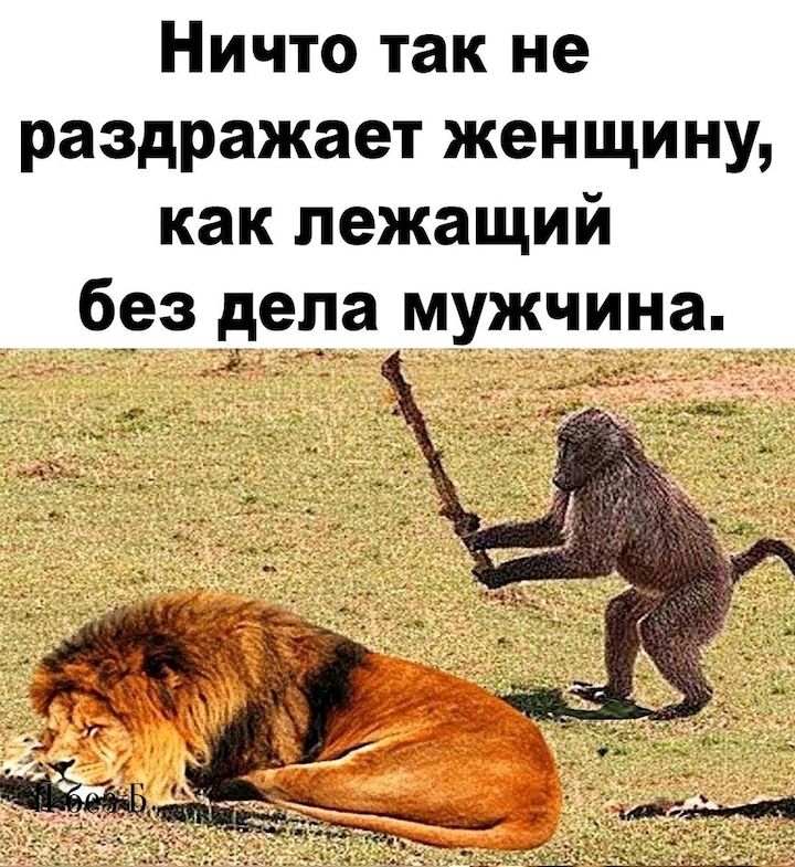 Ничто так не раздражает женщину как лежащий без деда мужчина
