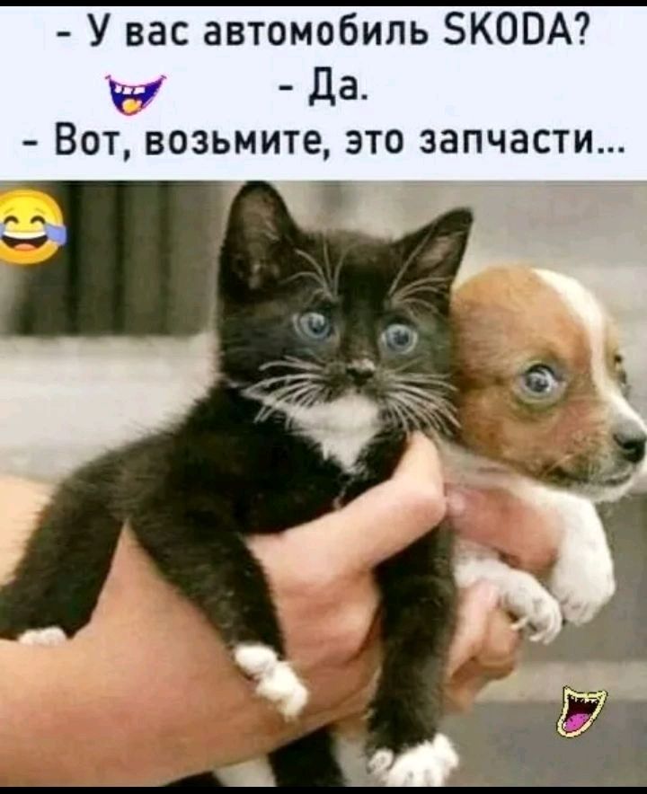 У вас автомобиль ЗКОПА у Да Вот возьмите это запчасти