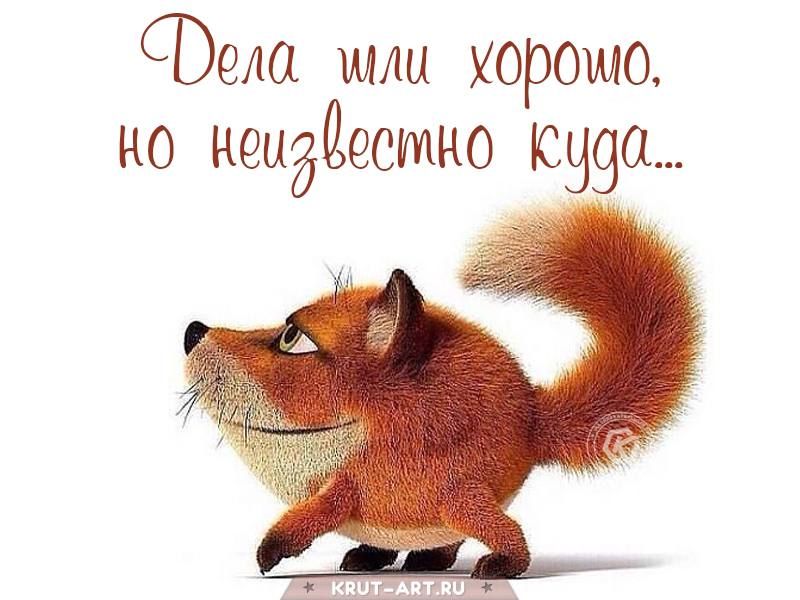 СОеаа ими хорошо но иеыйёестно ъс99а