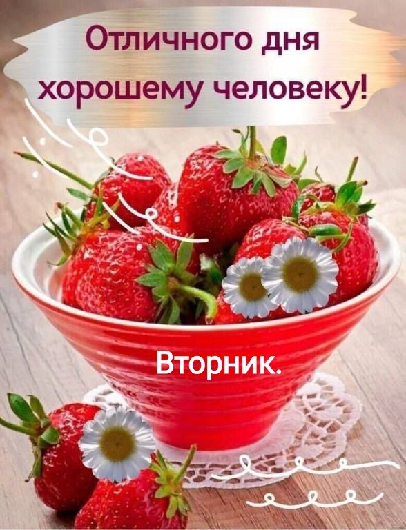 Отличного дня хорошему человеку