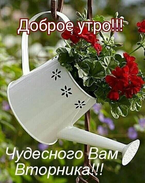 а 59 и Вторн Р
