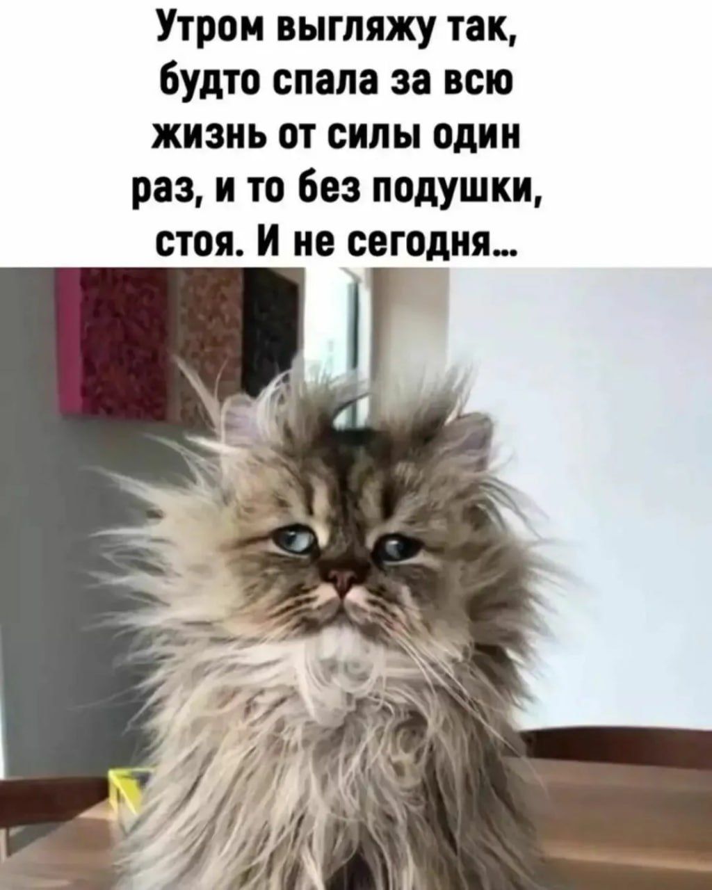 Утром выгляжу так будто спала за всю жизнь от силы один раз и то без подушки стоя И не сегодня