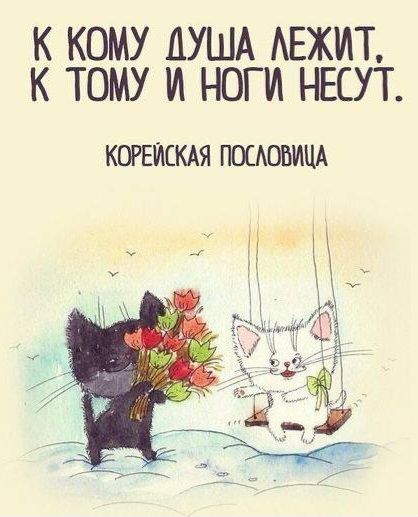 К КОМУ ДУША АЕЖИТ К ТОМУ И НОГИ НЕСУТ КОРЕЙСКАЯ ПОСАШИЦА