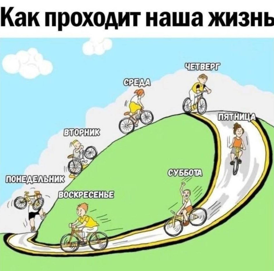 Как проходит наша жизнь
