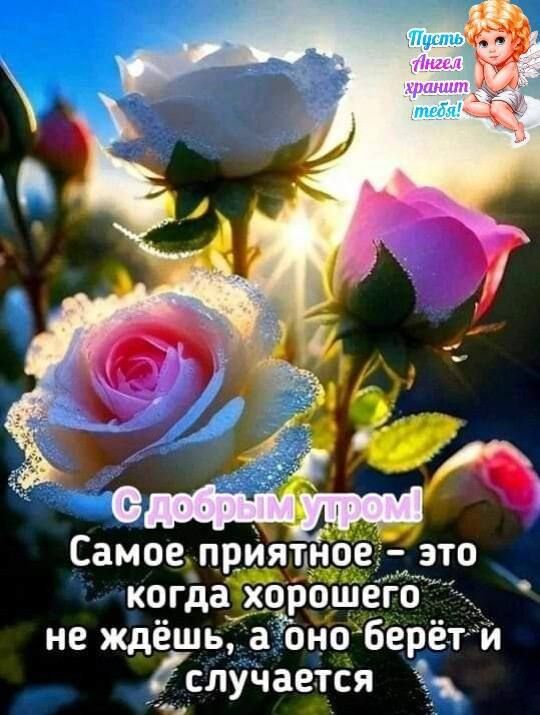 Самое приятно когдааро не ждёшь а оно берёт и _ случается хдд