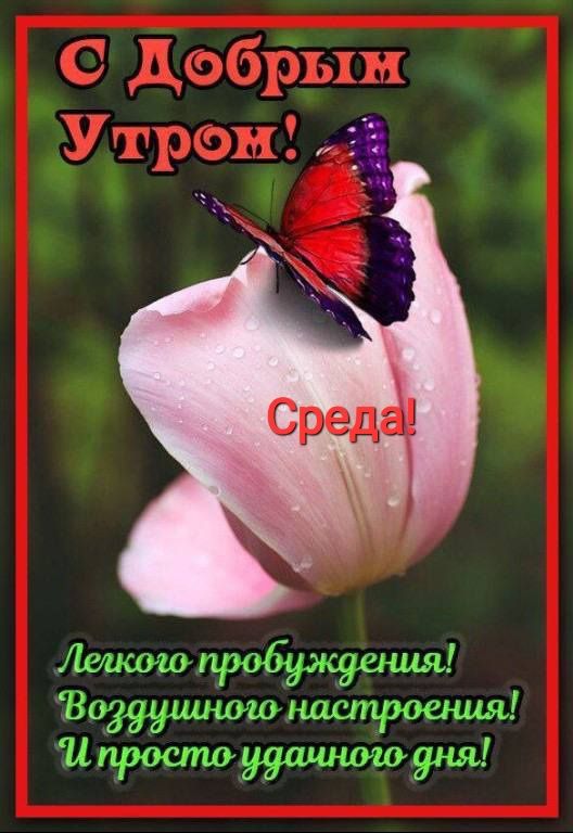 Цпроспшиашшюдша