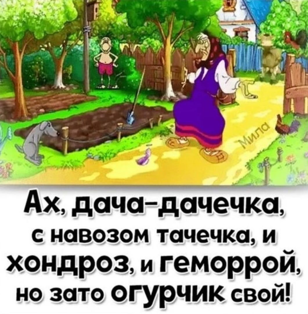 Р г Ах дачадачечксі С НОВОЗОМ тачечком хондроз и геморрой но зато огурчик свой
