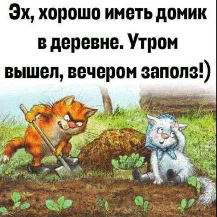 Эх хорошо иметь домик в деревне Утром вышел вечером запале