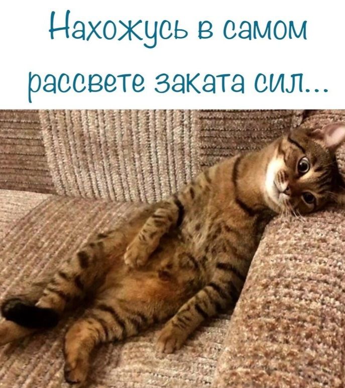 Нахожусь в самом РЭООВЗТЗ ЗЭКЭТЭ СИЛ