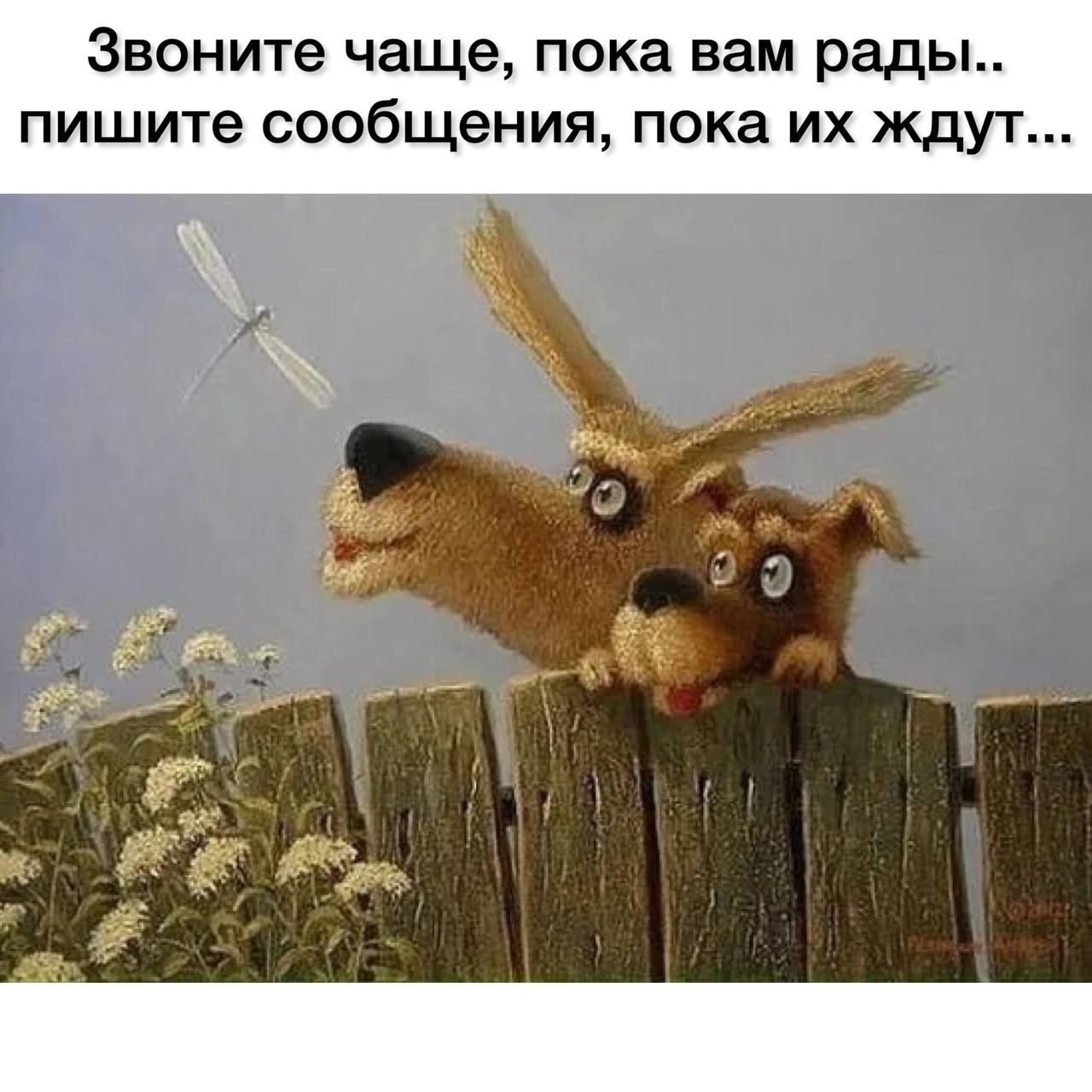 Звоните чаще пока вам рады пишите сообщения пока их ждут