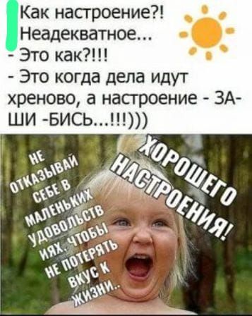 Как насгроение Неадекватное Это как Это когда дела идут хреново а насгроение ЗА ШИ БИСЬ 70 Ж Роч Ф Ёжъ 0 тдф 0525 0 фЁЁъФх г 70 9ч с