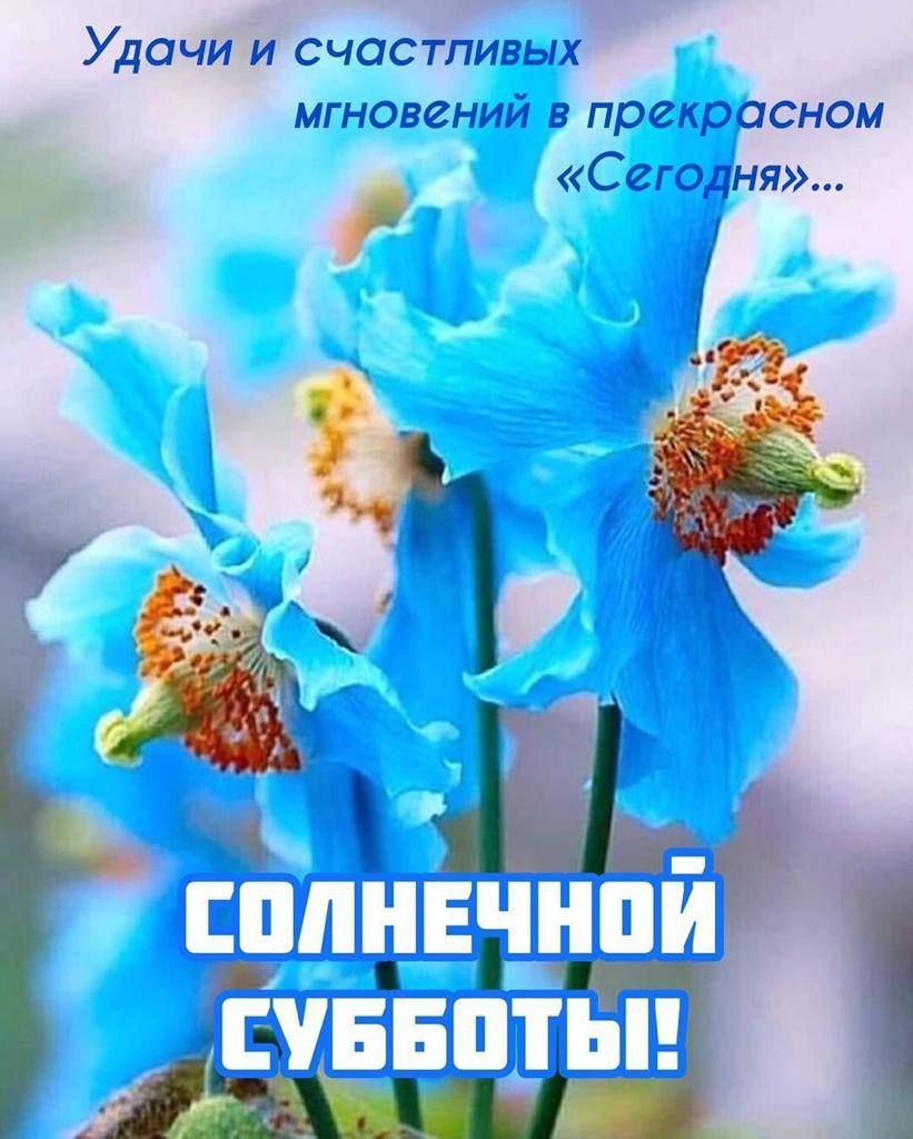 Удачи и счастпигых мгновени пре асном С ня 1