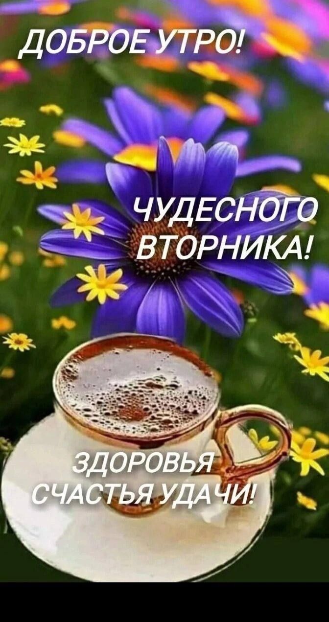 чудЕснЁа ВТОРНИКА 4 _3