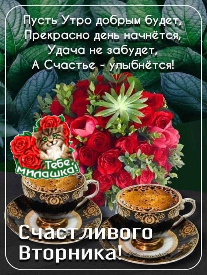 Удоча не шбудст АСчасгье Улыбнётсзч 0
