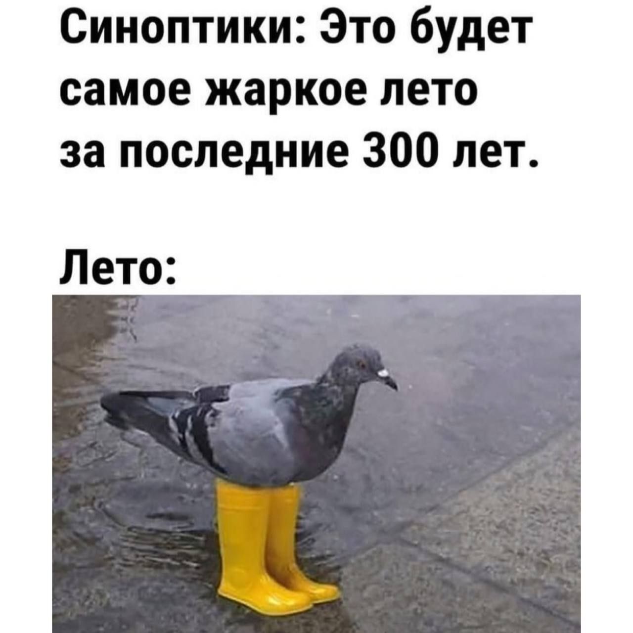 Синоптики Это будет самое жаркое лето за последние 300 лет Лето