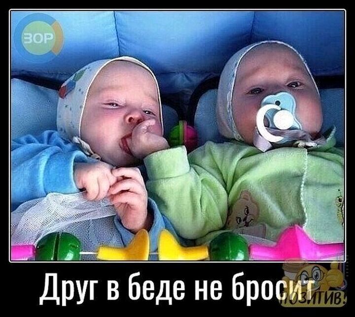 Друг беде не брос