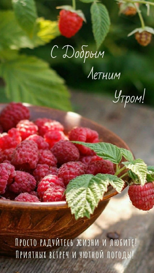 ПРОПО РАДЧЙЩ ПЁИЯТПЫХ