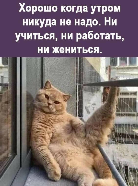 Хорошо когда утром никуда не надо Ни учиться ни работать ни жениться