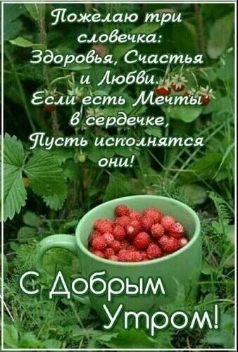 Яожёлаю три надейся Зддробыъ Счастья и Любви Если есть МечтьЁ ердечкеьі Шуе ть исподанятся