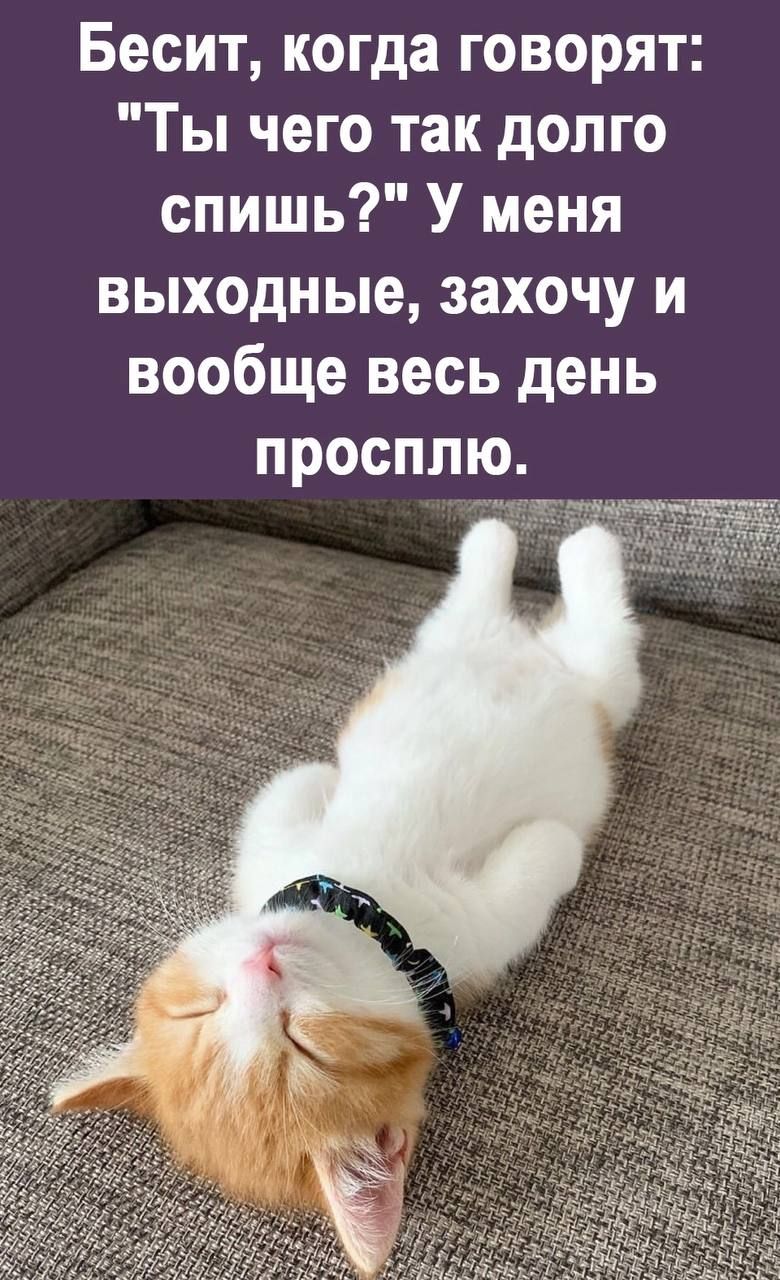 Бесит когда говорят Ты чего так долго спишь У меня выходные захочу и вообще весь день просппю