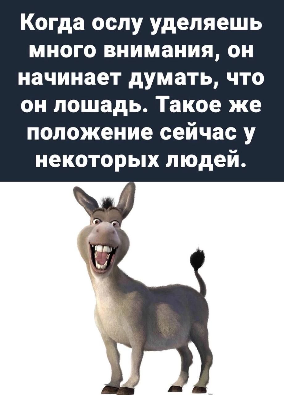 Когда ослу уделяешь много внимания он начинает думать что он лошадь Такое же положение сейчас у некоторых людей