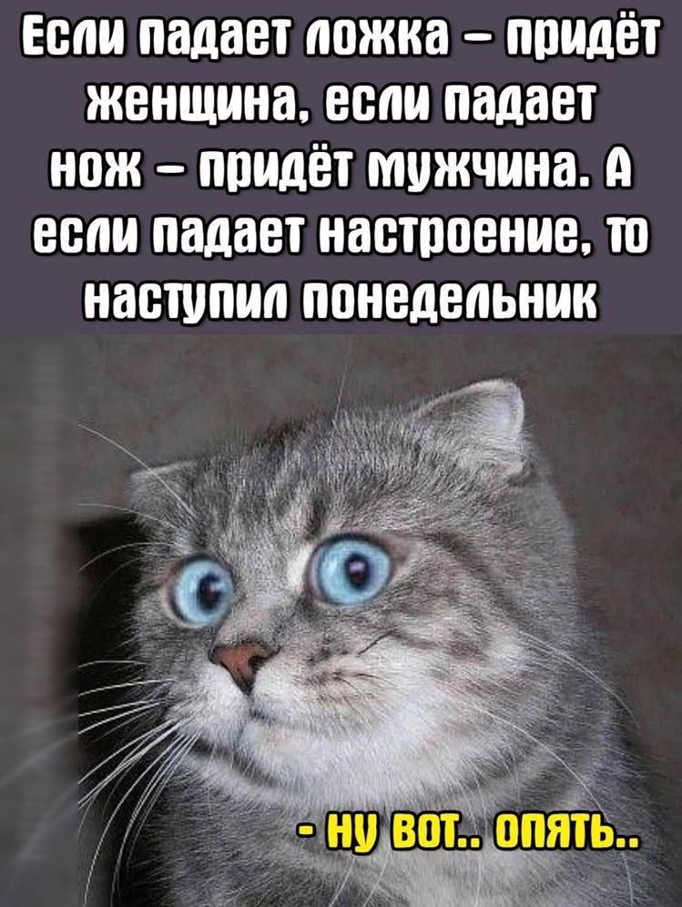 Еепи падает ложка ппидёт женщина если падает нож ппидёт мужчина А если падает настроение ш наступил понедельник