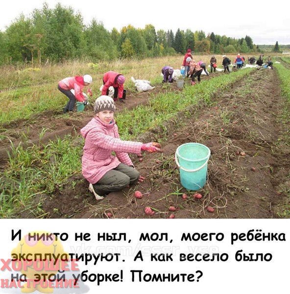 И ни о не ныл мол моего ребёнка руют А как весело было уборке Помните