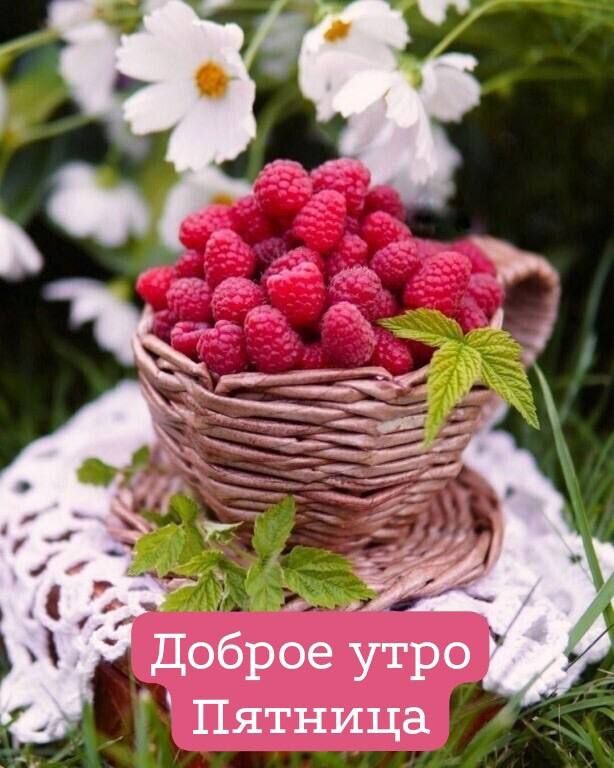 ДоЁрое утро Пятница