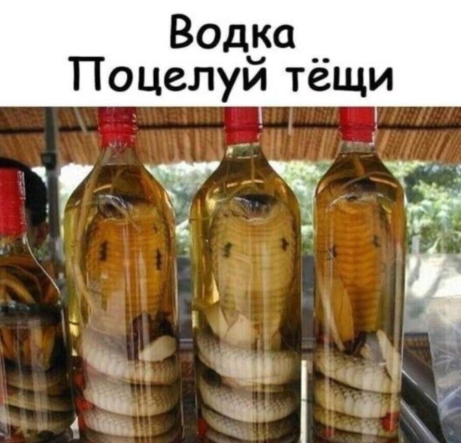 Водёа __ Поцелуи тещи