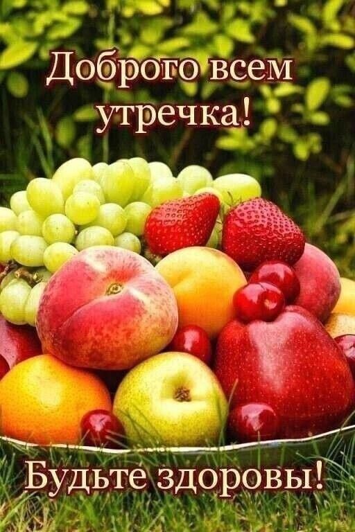 Добрбпбвсем утречка