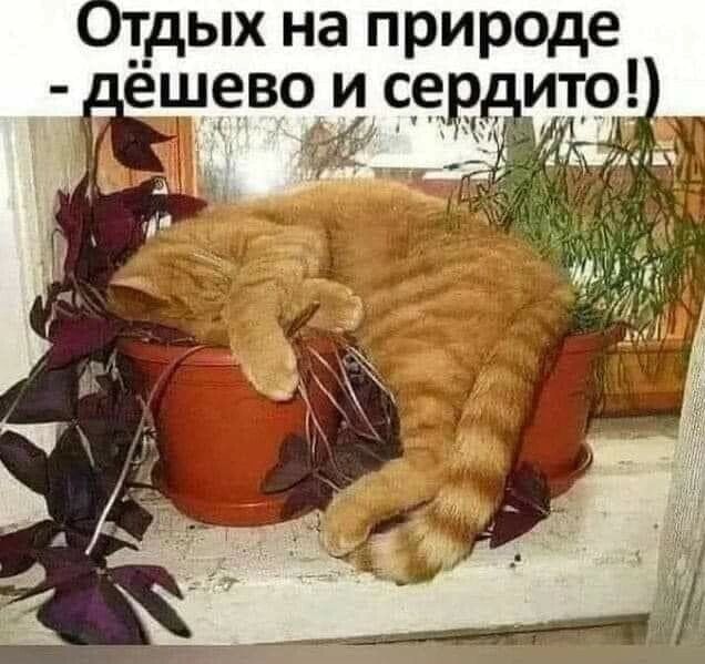 __дых на природе леш_ево и серп ито