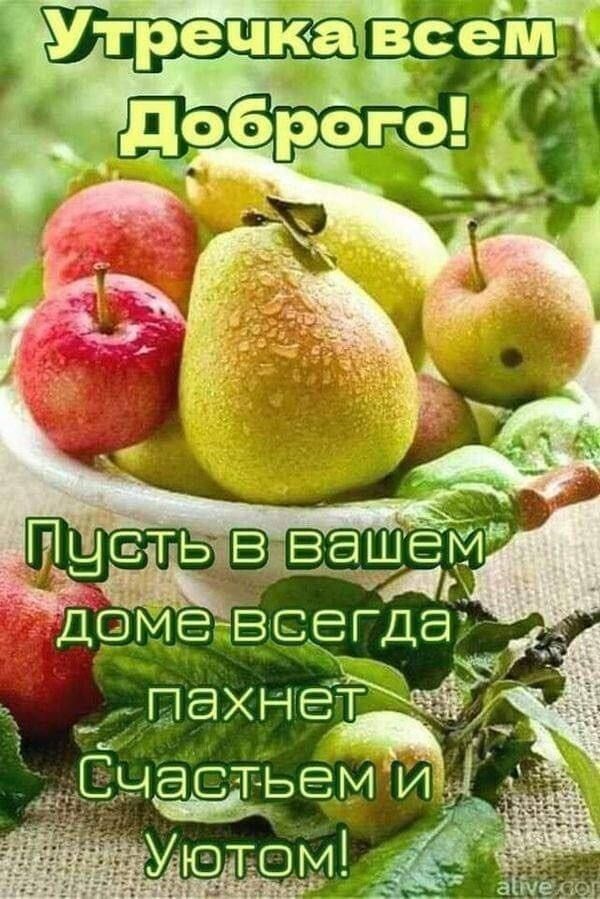 ПЭХНЕТ ЭСТ ЬЕМ И тов1345 ___г