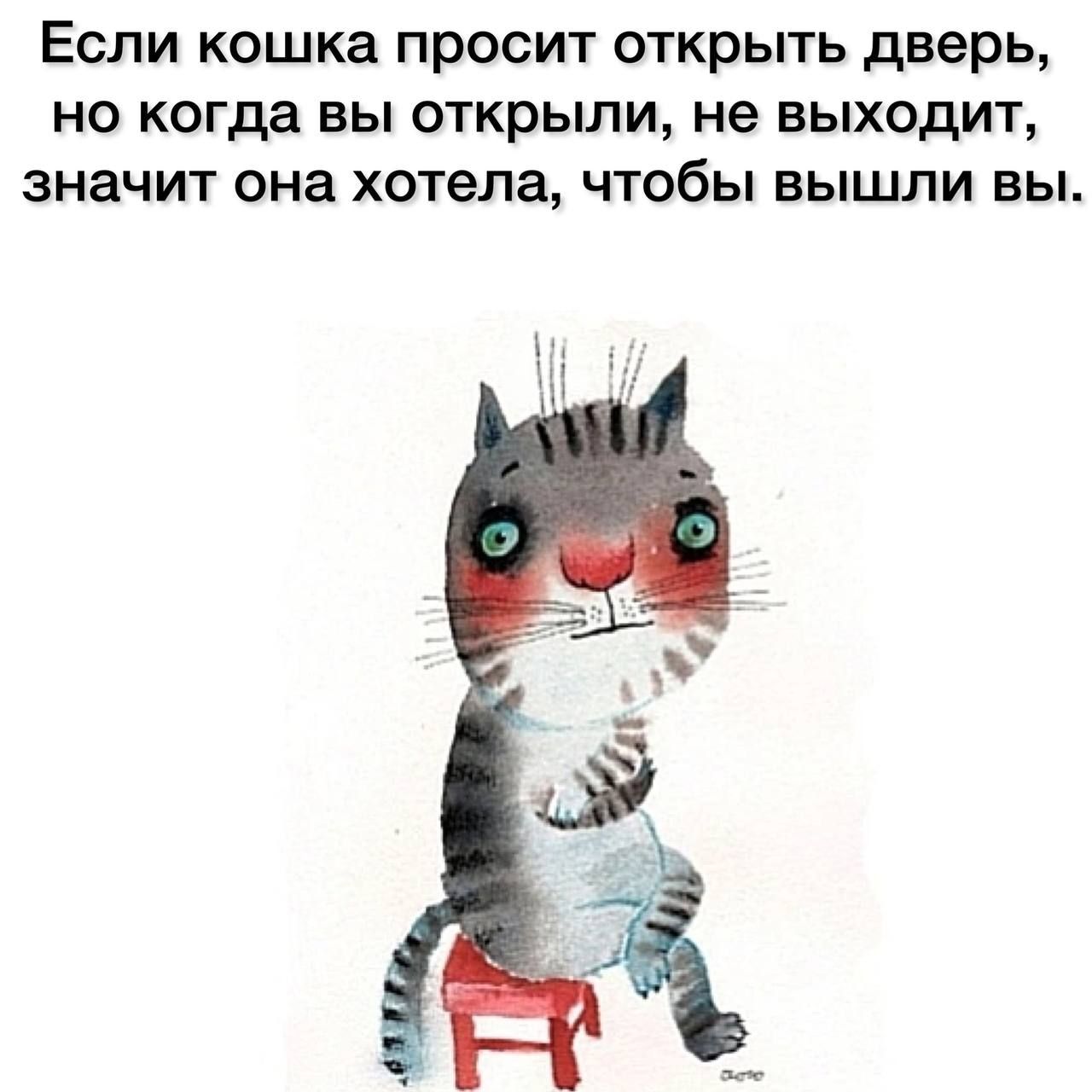 Если кошка просит открыть дверь не когда вы открыли не выходит значит она хотела чтобы вышли вы