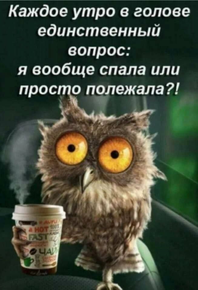 Каждое утро в голове единственный вопрос я вообще спала или прос о полежала С
